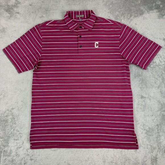 Peter Millar Summer Comfort Golf Performance Mens Pink Striped Polo Shirt Large - Picture 2 of 7